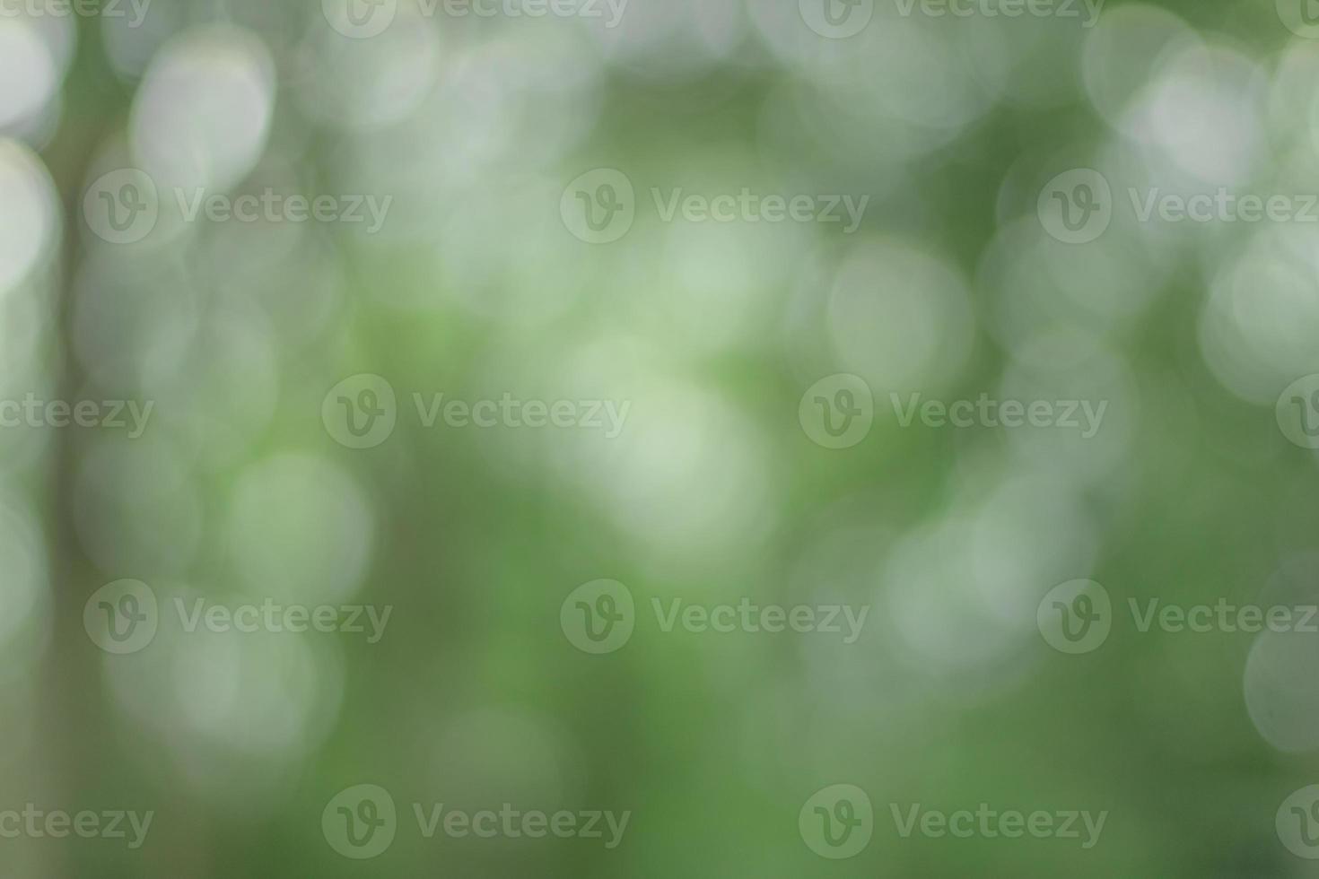 Green bokeh in the forest. Light shines through the leaves in bokeh. photo