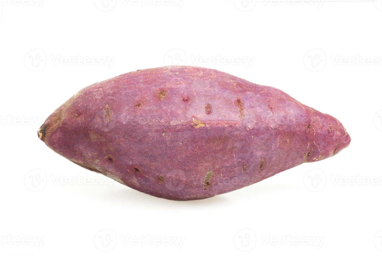 red sweet potato isolated on white background photo