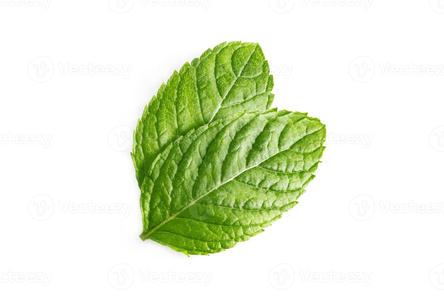 Mint leaves, mint leaves isolated on white background photo