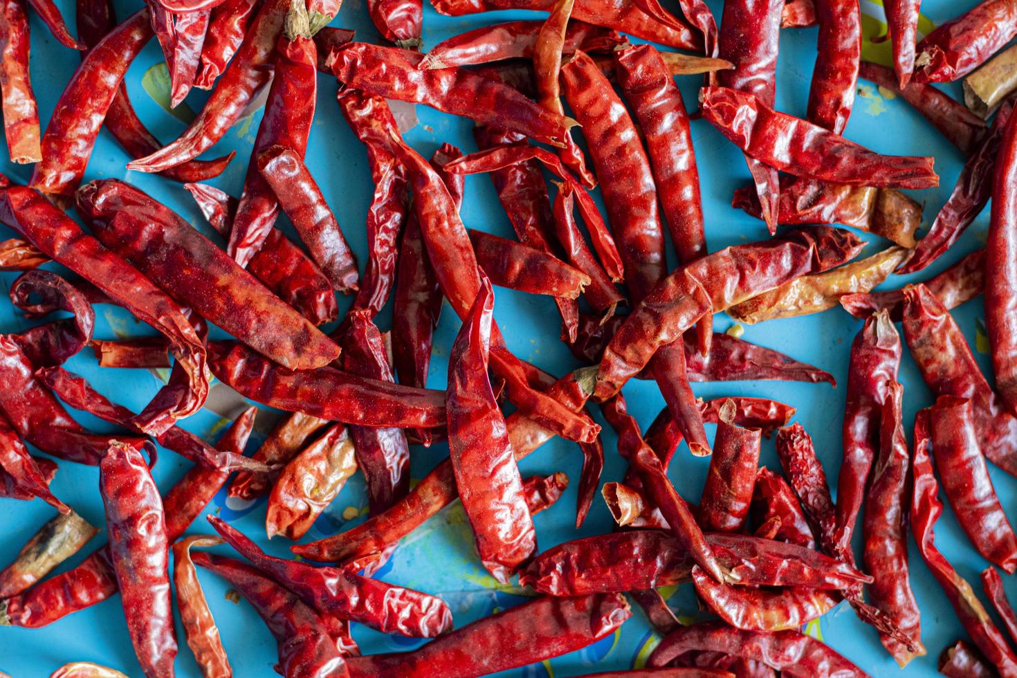 Dried chilies in a tray photo