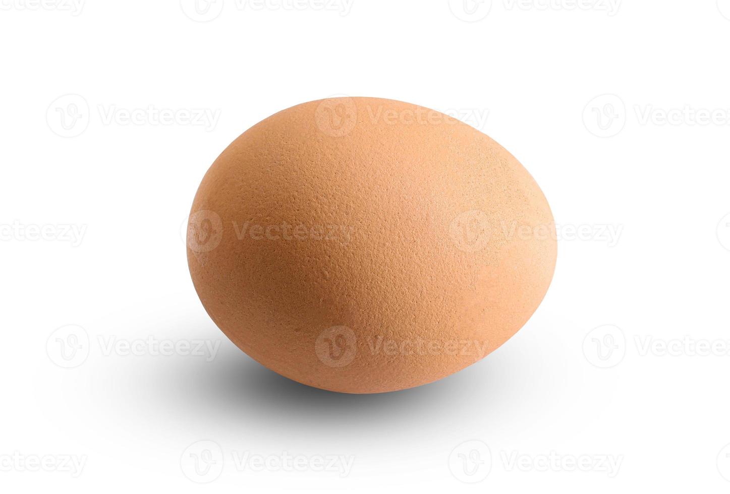 Chicken eggs isolated on white background,clipping path photo