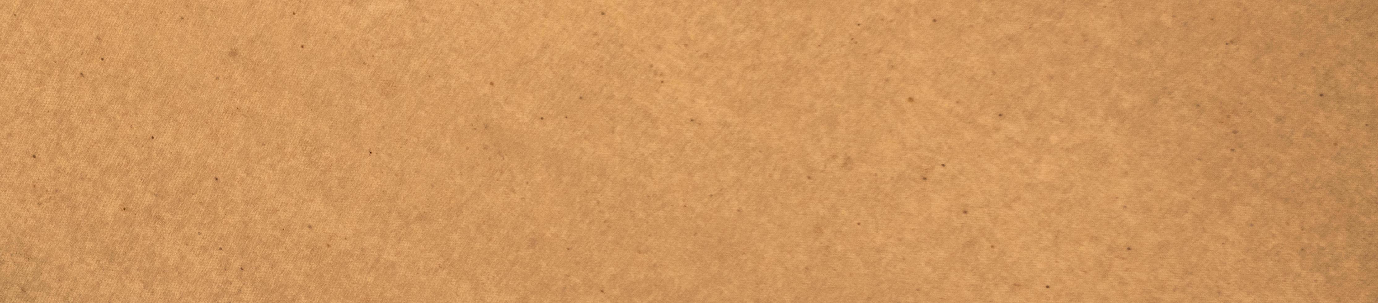 Light brown kraft paper texture banner background photo