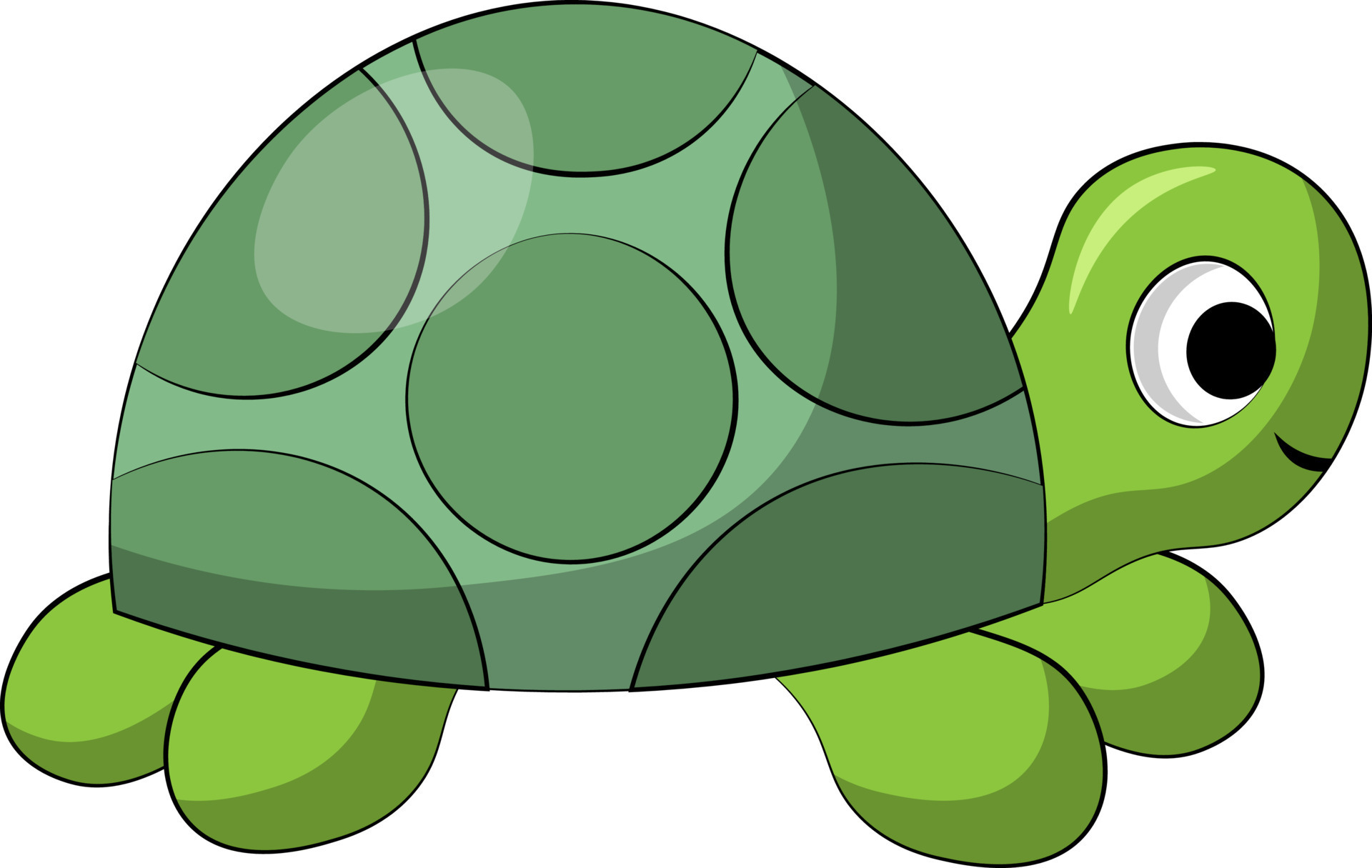 Cute cartoon Turtle. Draw illustration in color 8094736 Vector Art at  Vecteezy