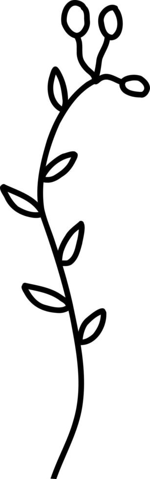 Flowers branches with leaves line drawing, doodle style. vector