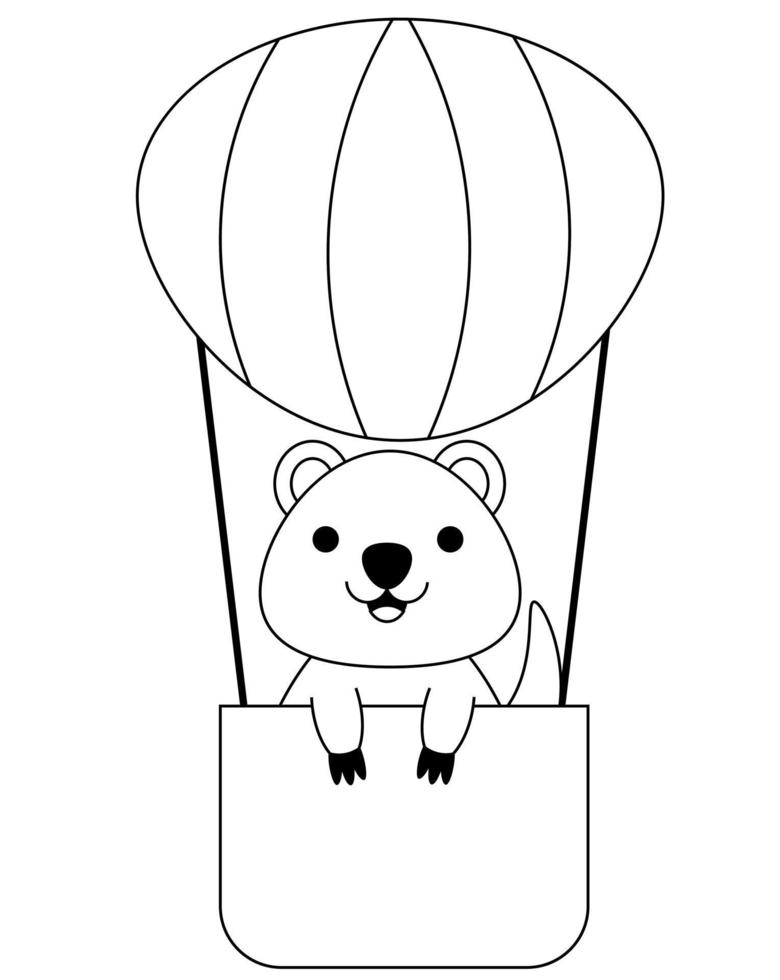Cute cartoon Quokka in an inflatable Balloon. Draw illustration in black and white vector