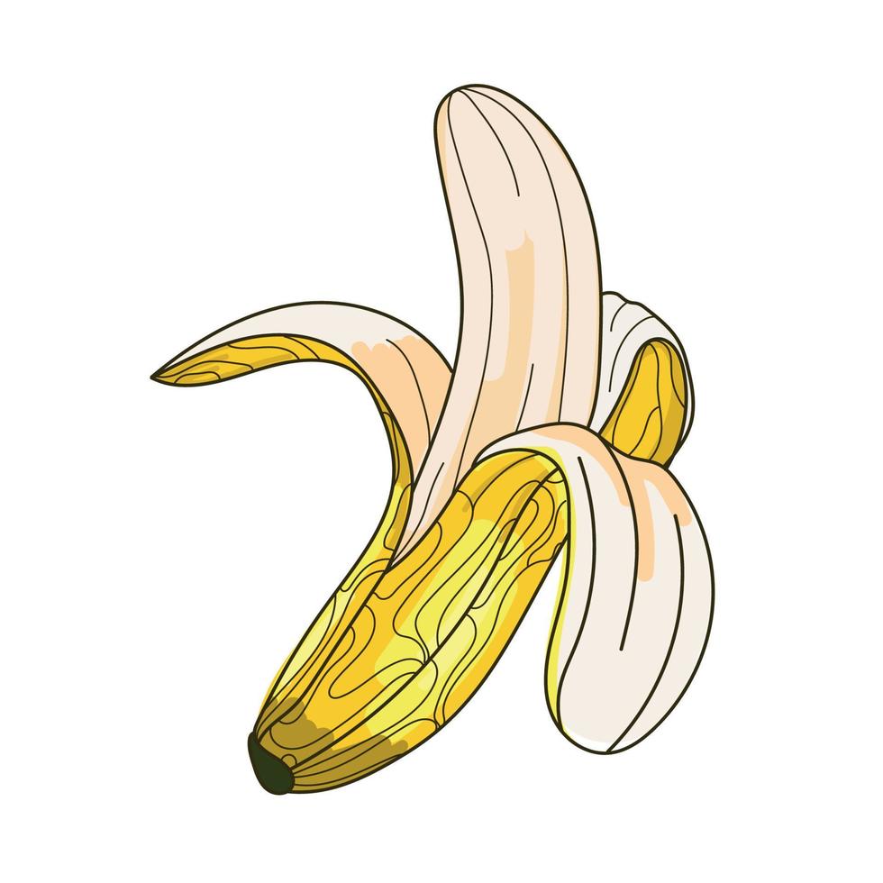 Sketch open banana icon vector illustration.Abstract decorative image of banana isolated on white background.Fruit design element for print,emblem and other use.