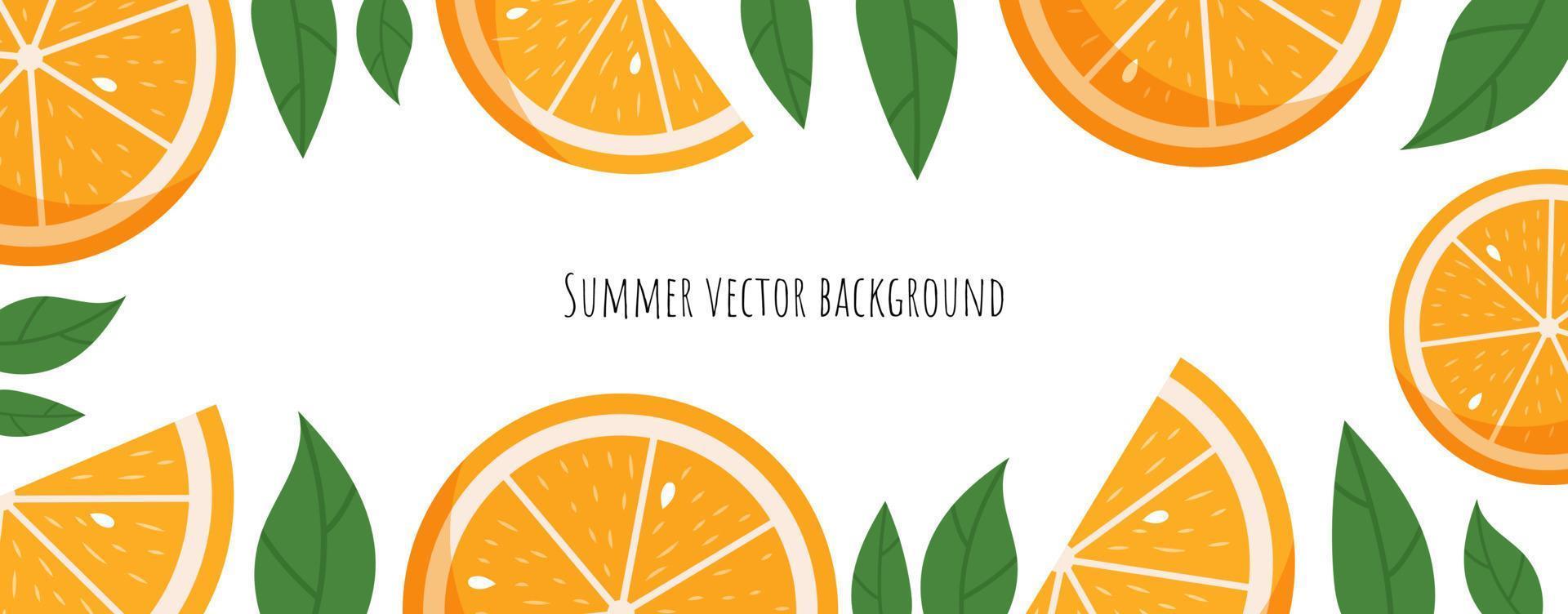 Colorful summer background design banner with oranges vector