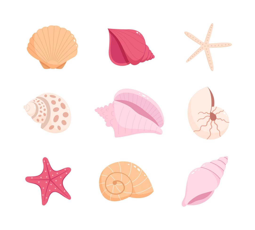conjunto de conchas marinas y estrellas de mar vector