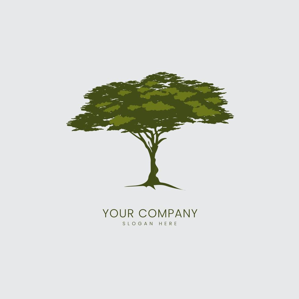 isolated tree vector on white background used in logo, icon, symbol template of tree illustration