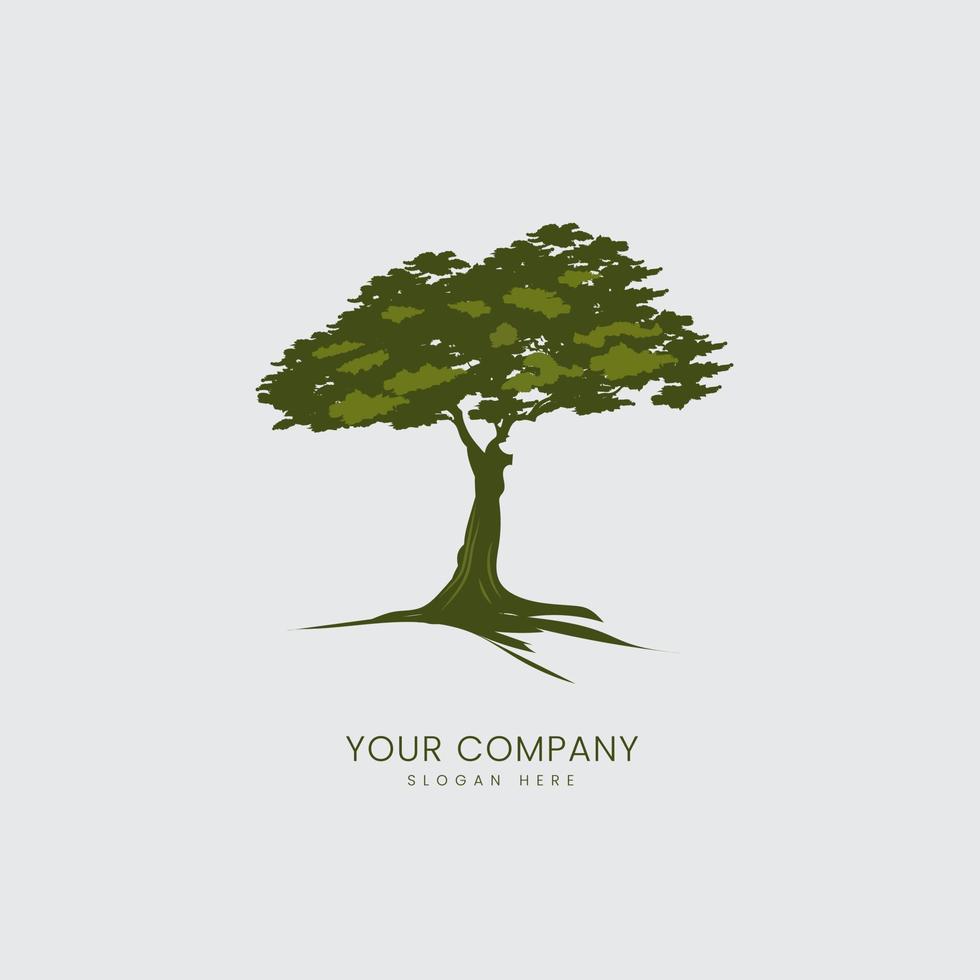 a tree silhouette isolated on white background and big tree of Oak logo vector design