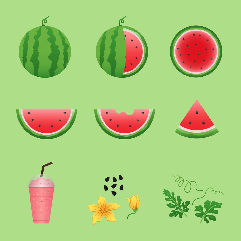 juego de vectores de sandía y rebanadas jugosas, diseño plano de hojas verdes e ilustración de flores de sandía, concepto de fruta fresca y jugosa de comida de verano.