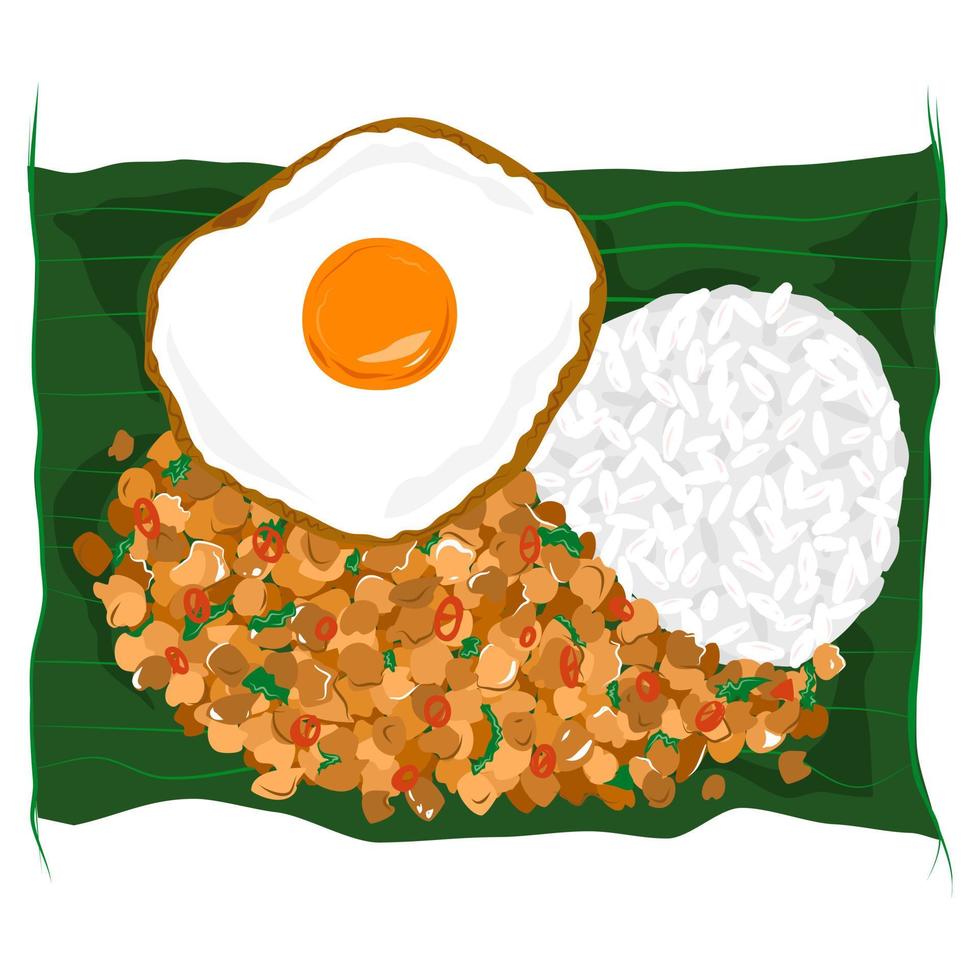 Thai food with stir-fried holy basil with minced pork and fried egg, on banana leaf. One dish. Vector illustration.