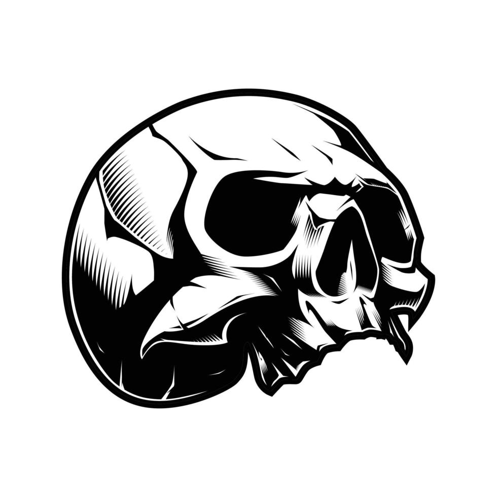 Death Skull from the Grave Vector Illustration Design