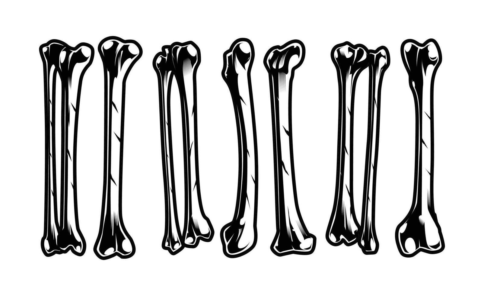 Set of Bones Vector Illustration Design