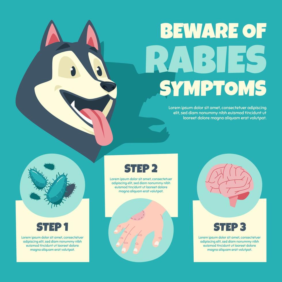 infografia de sintomas de la rabia vector