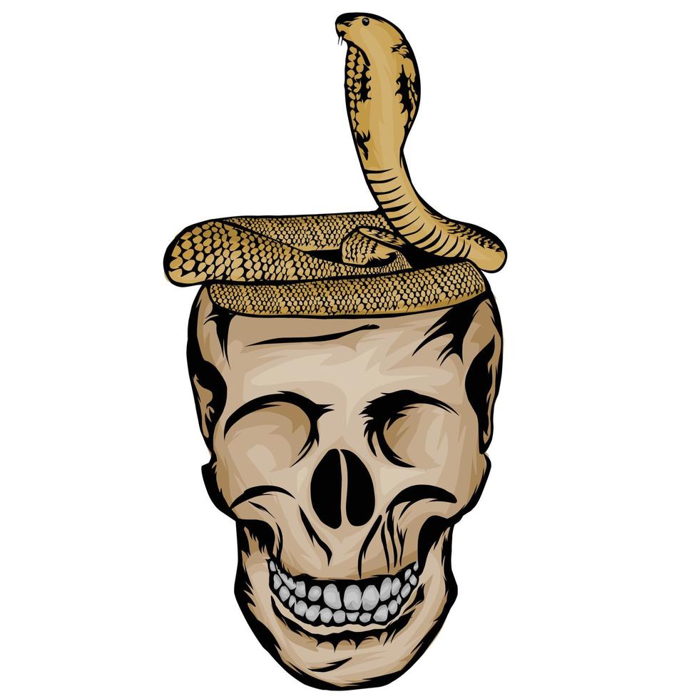 skull and snake vector White background