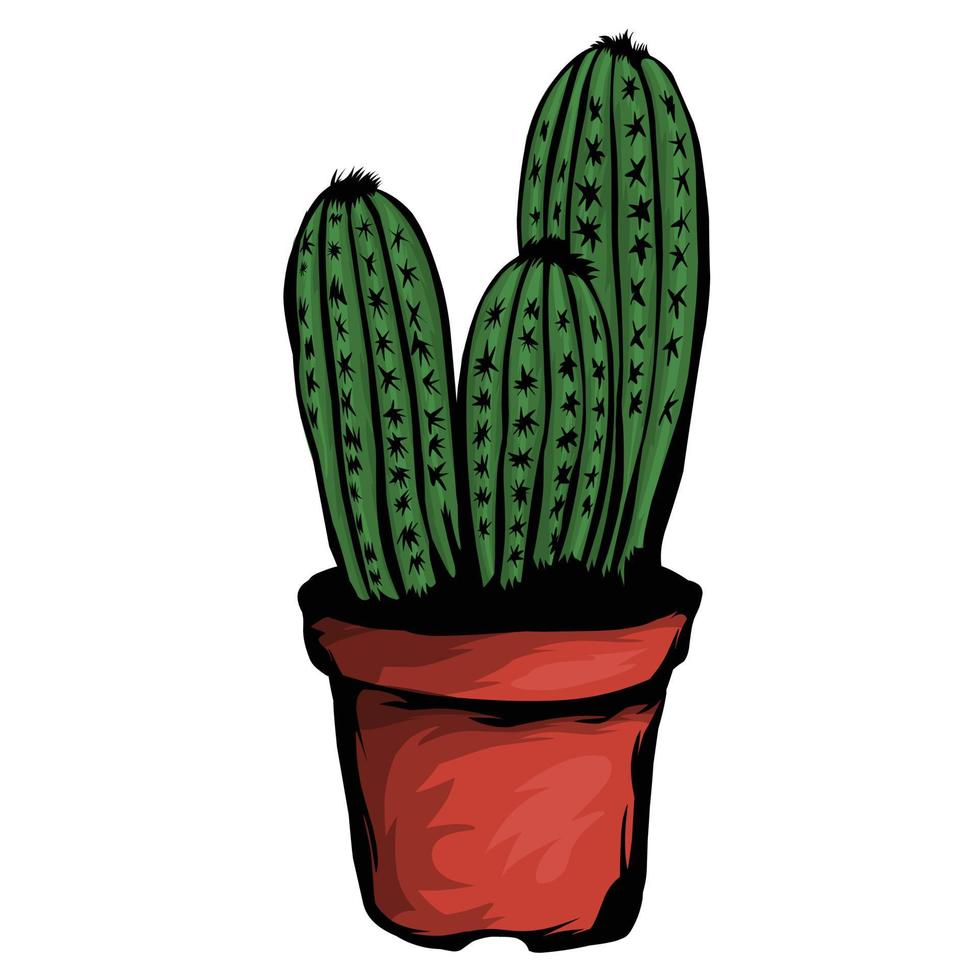 Cactus in pot vector White background