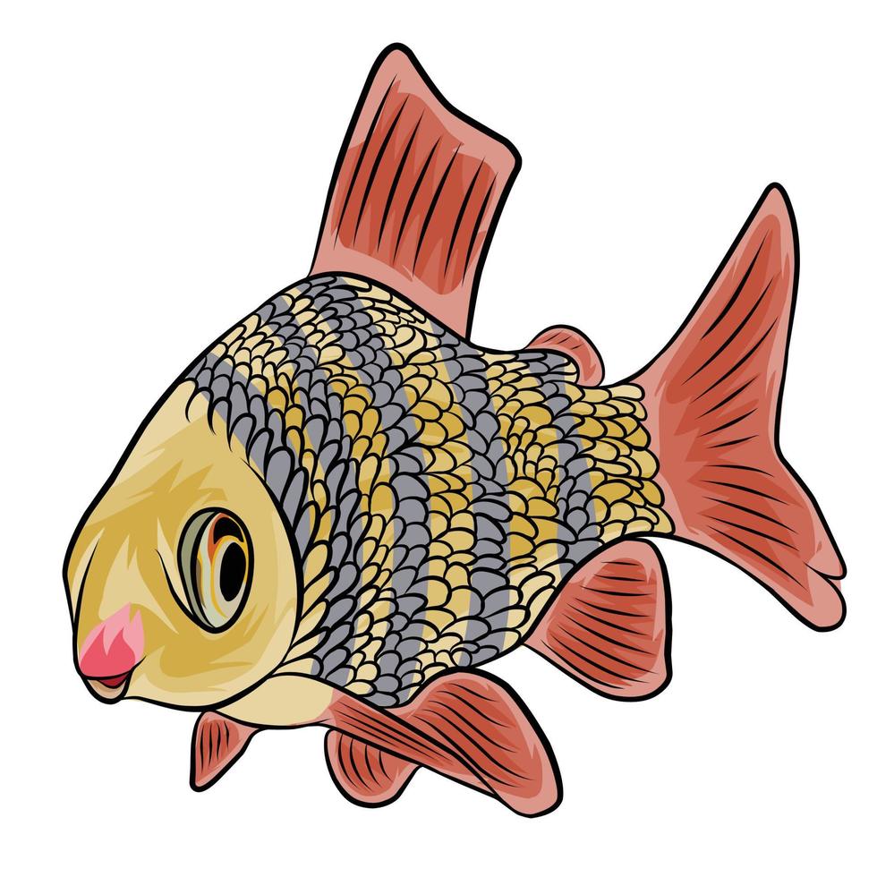 Golden fish vector White background