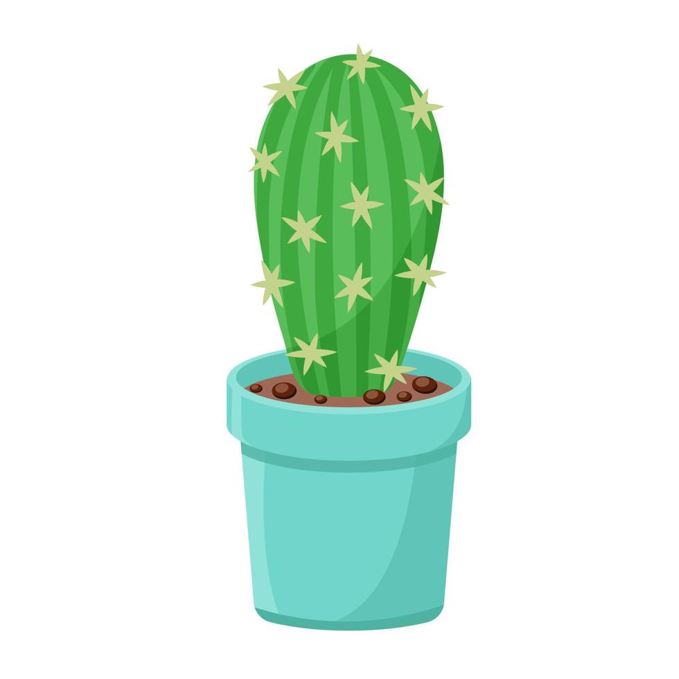 Cactus in flower pot isolated vector illustration