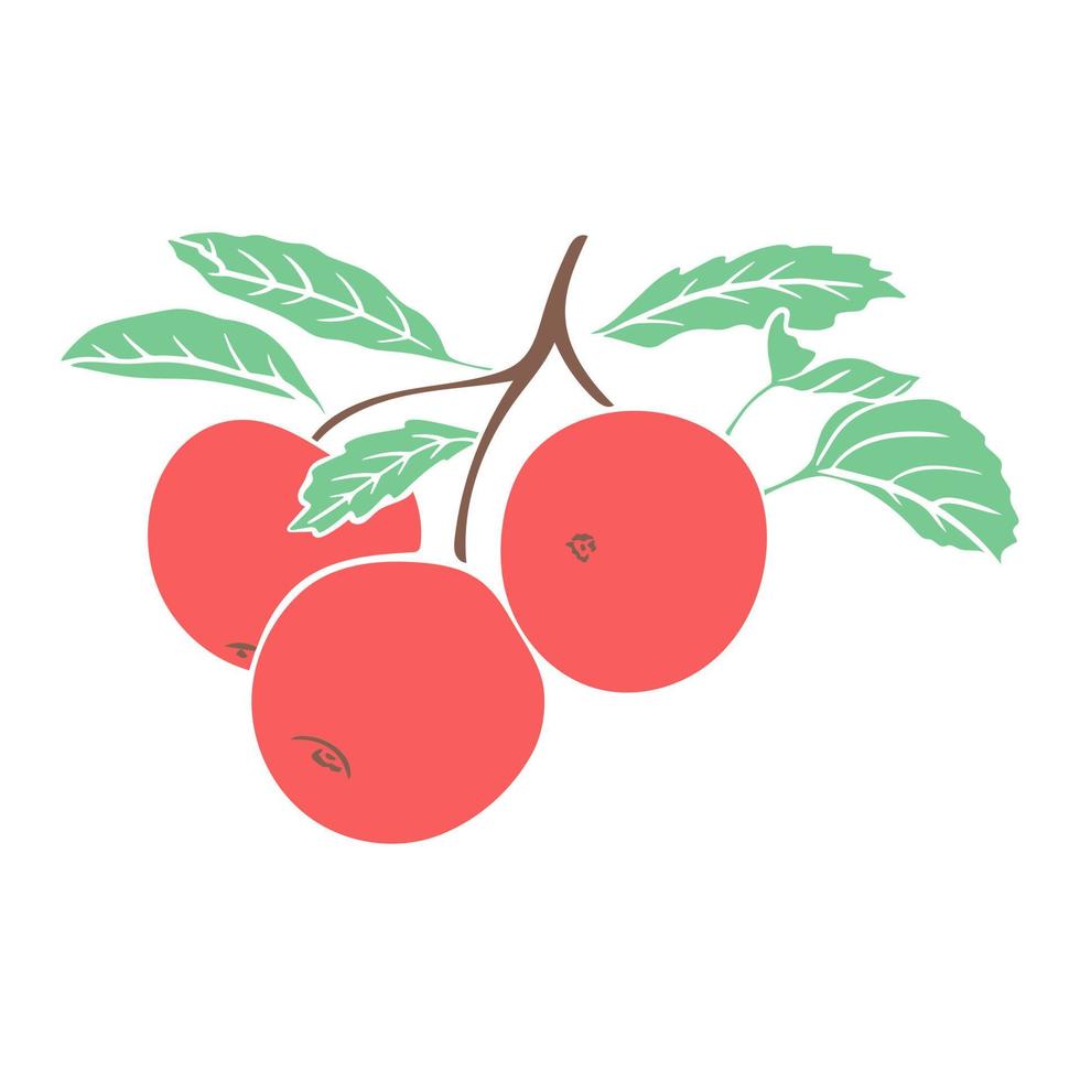 manzanas rojas en la rama frondosa ilustración vectorial aislada vector