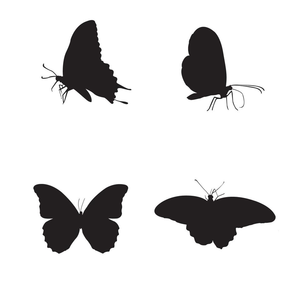 vector de silueta de mariposa