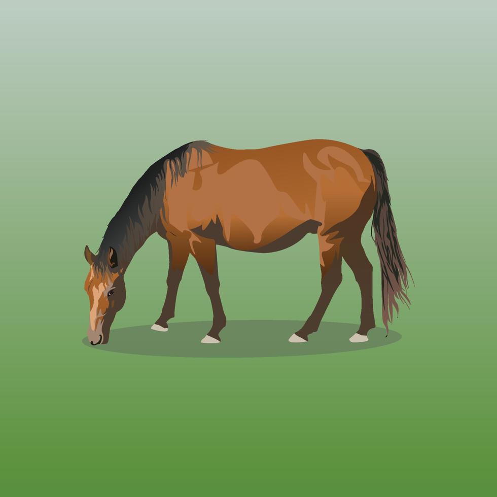 caballo, vector, ilustración vector