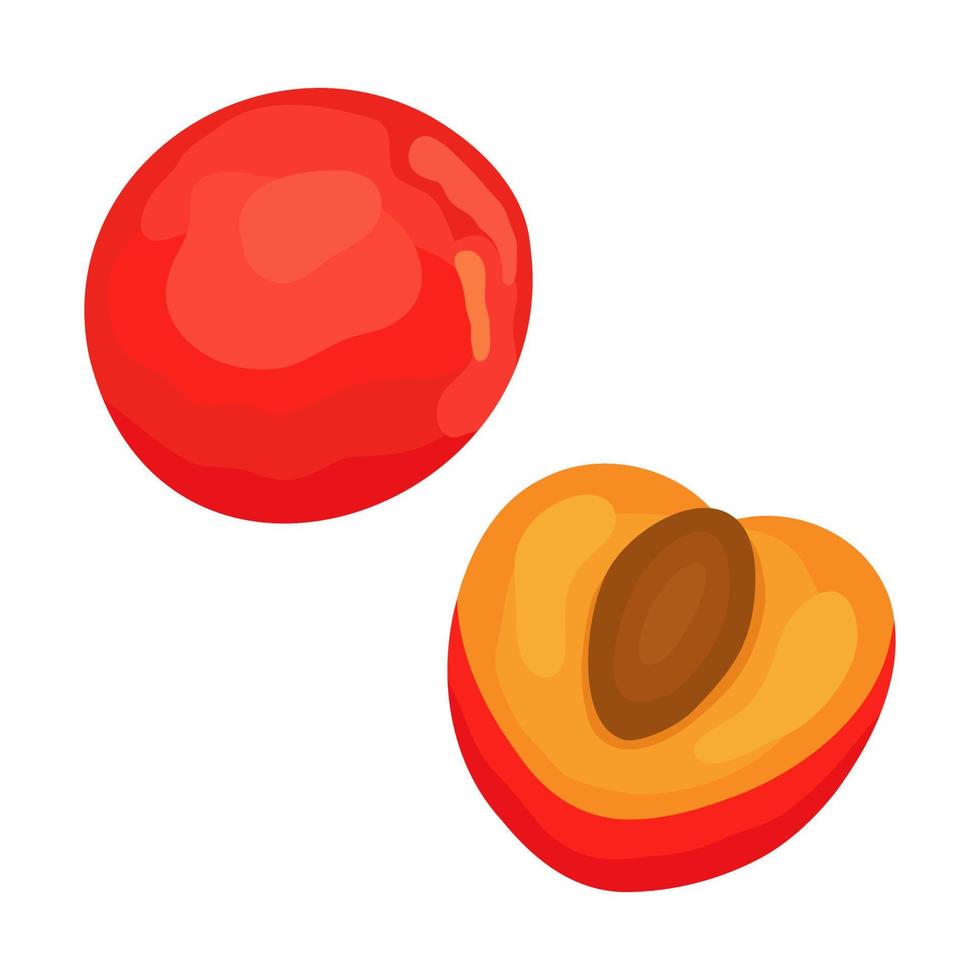 Cartoon ripe whole red nectarine with shadows and half. Sweet exotic food in a cut for healthy food on isolated background. vector