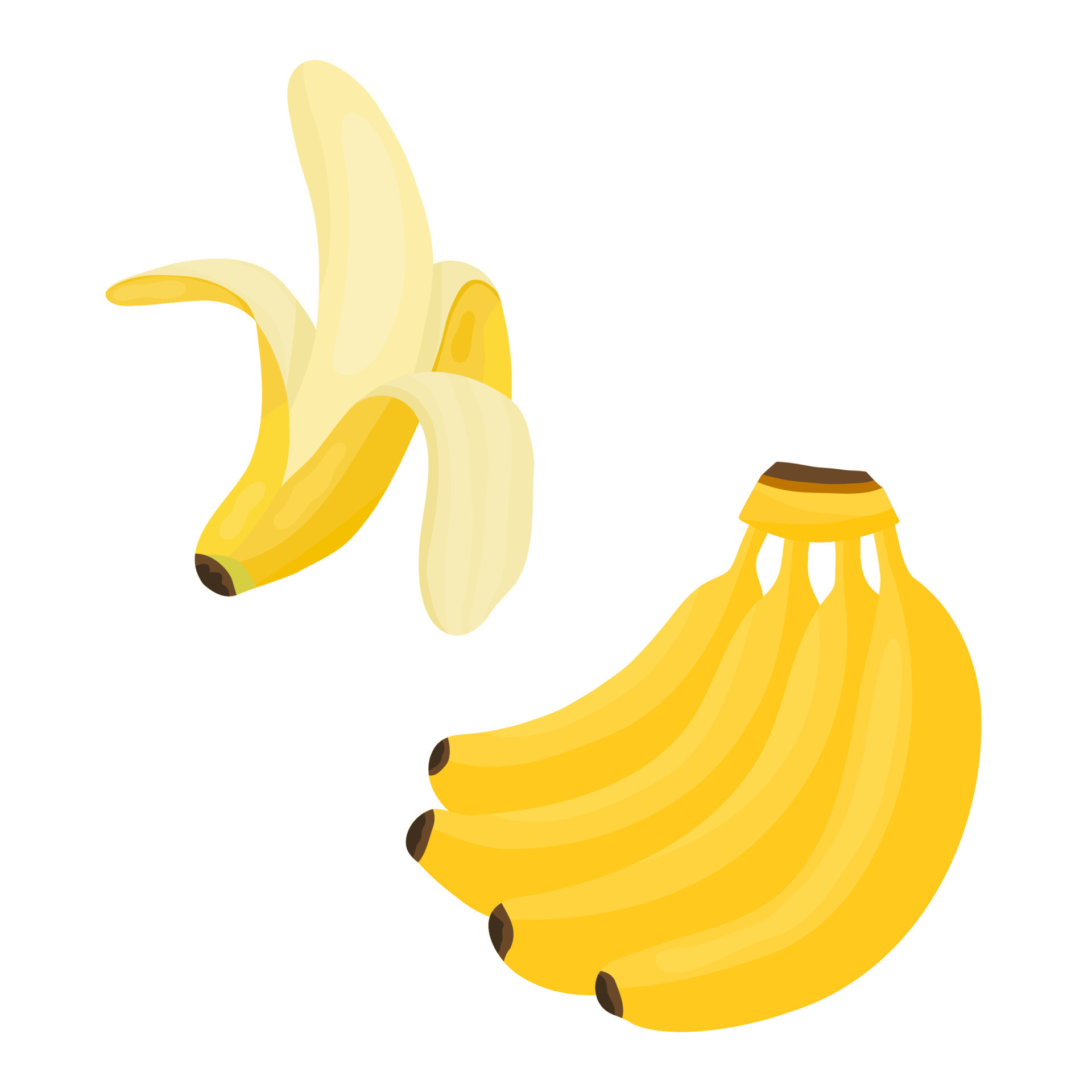 Yellow cartoon ripe bunch of four bananas with shadows and peeled banana. Sweet exotic food in a cut for healthy food on isolated background. 8101029 Vector Art at Vecteezy Yellow cartoon ripe bunch of four bananas with shadows and peeled banana. Sweet exotic food in a cut for healthy food on isolated background. 8101029 Vector Art at Vecteezy
