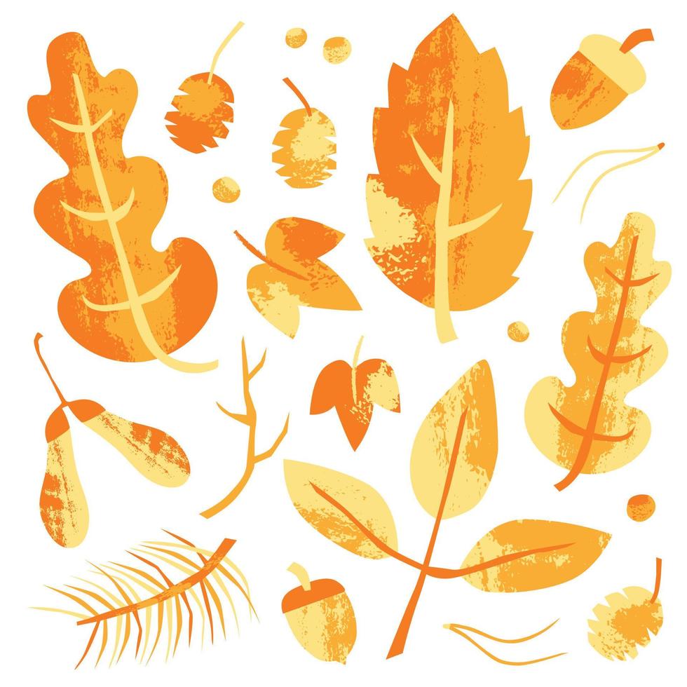 Set of colorful autumn leaves and forest elements. Textured  hand drawn vector illustration isolated on white background. Craft stamp style