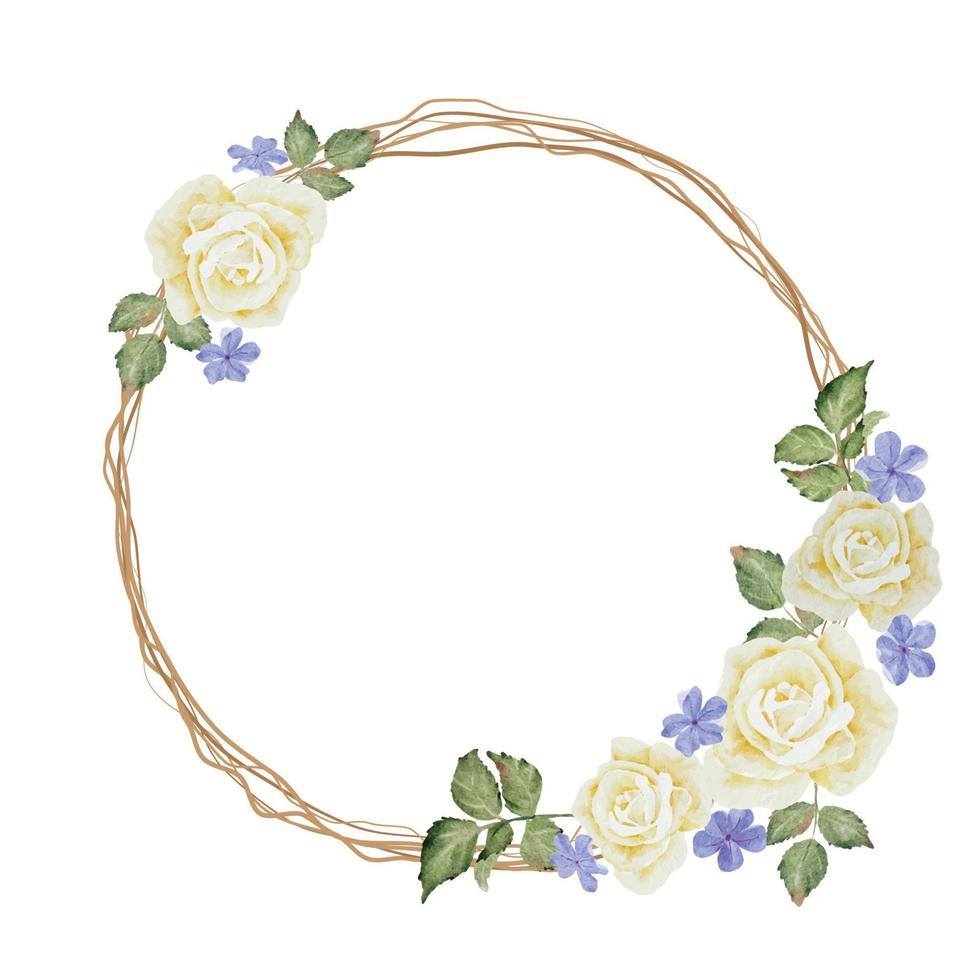 watercolor white rose with plumbago with dry twig flower bouquet wreath round frame vector