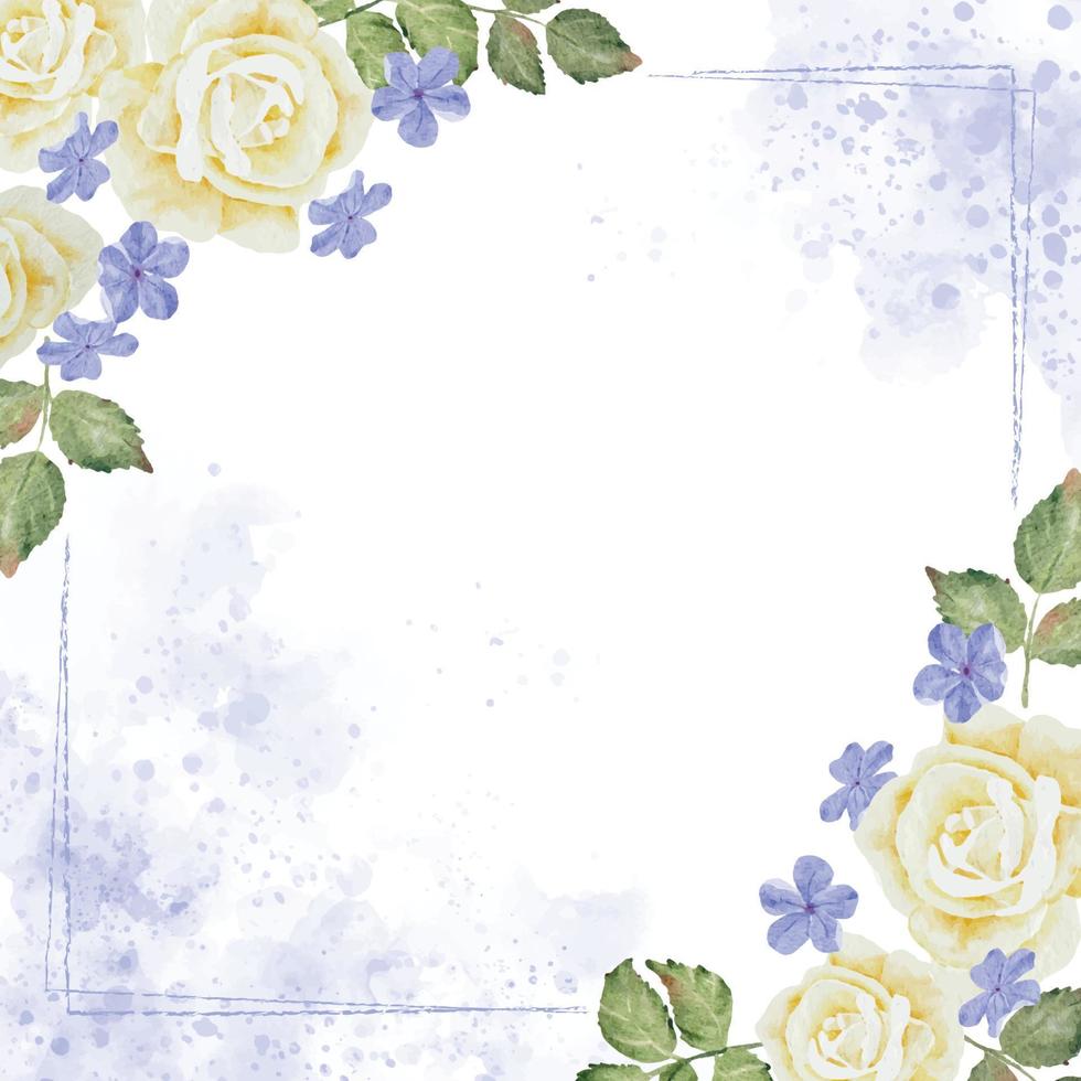 watercolor white rose and plumbago flower bouquet wreath frame on indigo blue splash background vector