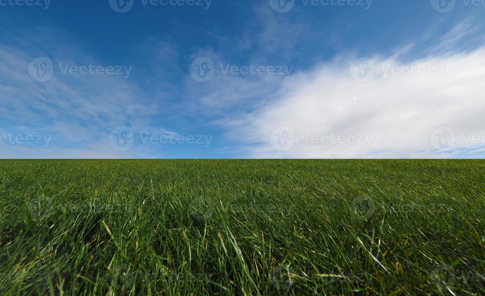 landscape with meadow and sky with flares photo