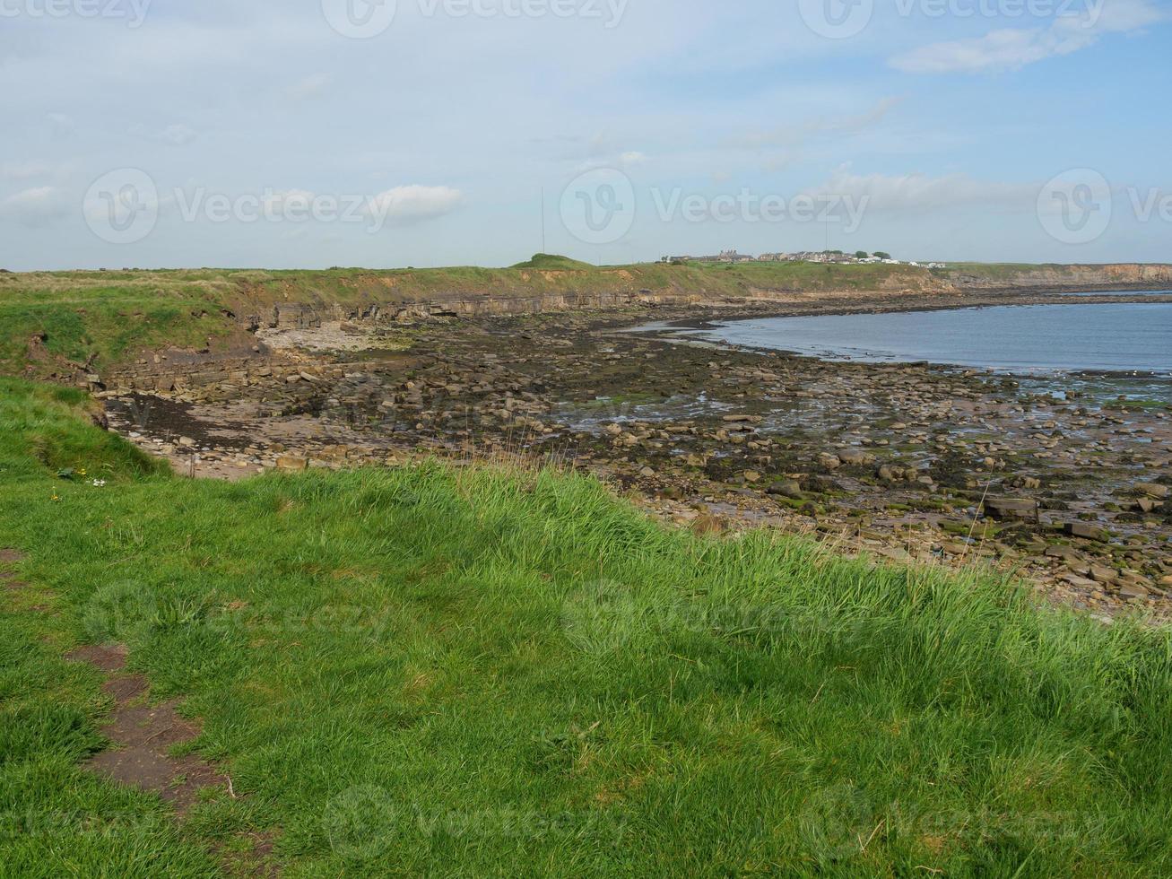 Garden and coastline near newcastle in england photo