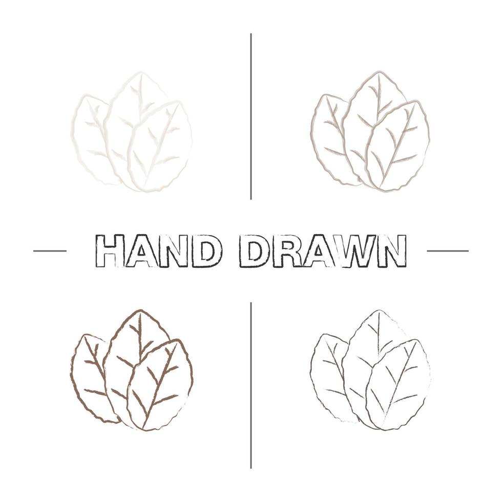 Tobacco leaf hand drawn icons set. Mint. Color brush stroke. Isolated vector sketchy illustrations