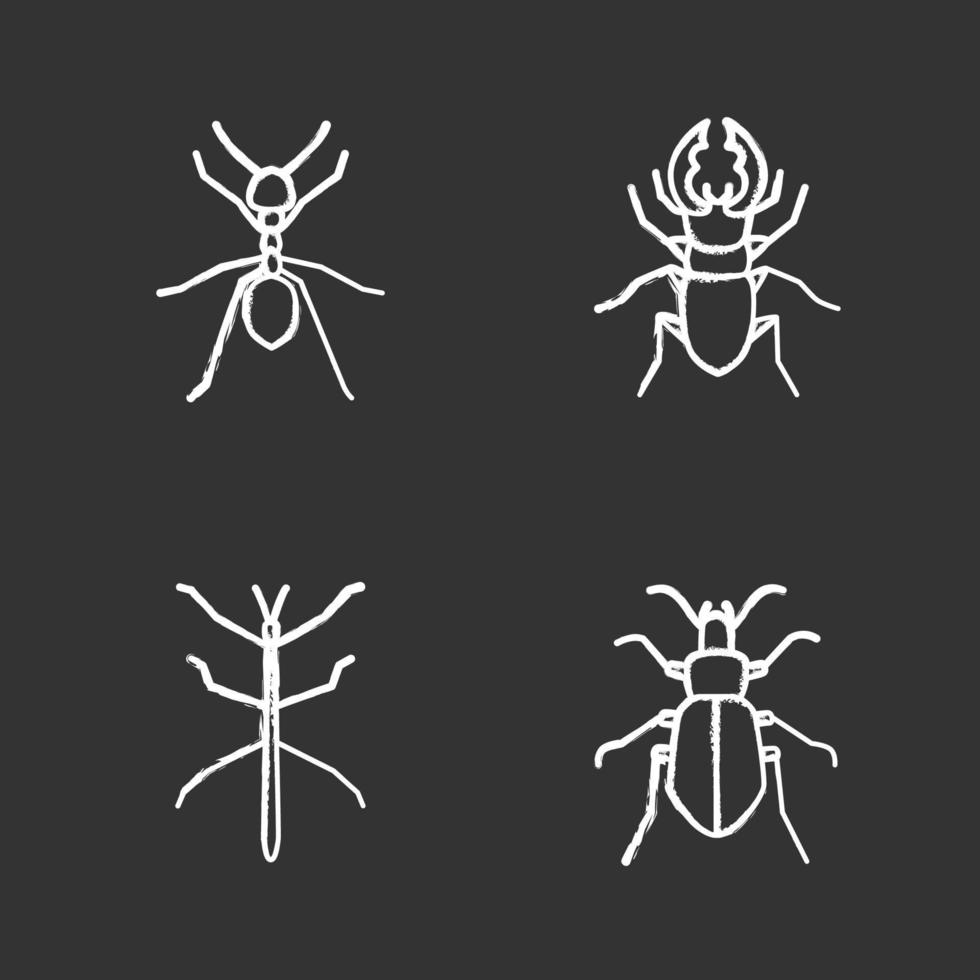 Insects chalk icons set. Ant, stag beetle, ground bug, phasmid. Isolated vector chalkboard illustrations
