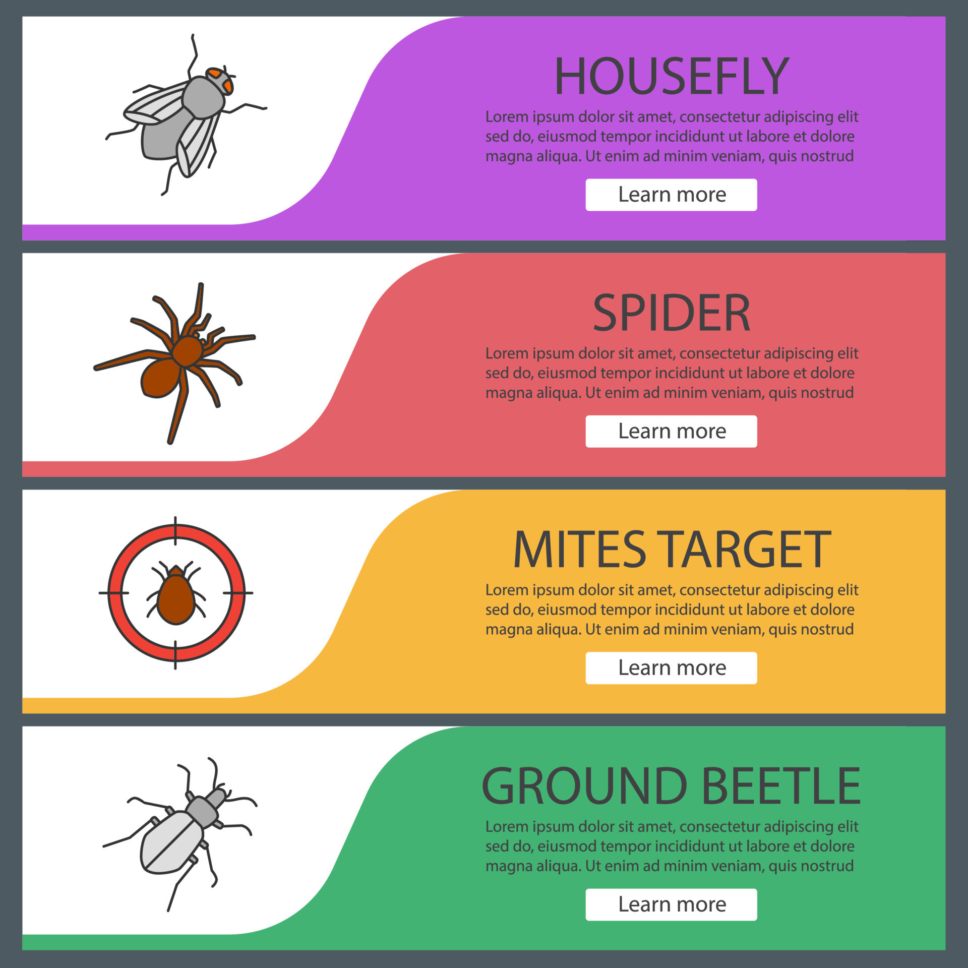 Pest control web banner templates set. Housefly, spider, mites target