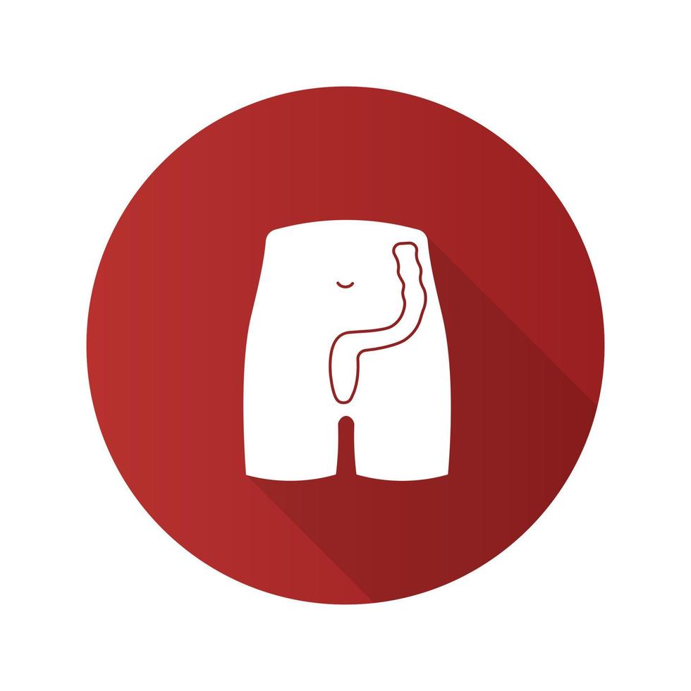 Rectum and anus flat design long shadow glyph icon. Last segment of large bowel. Gastrointestinal tract. Vector silhouette illustration