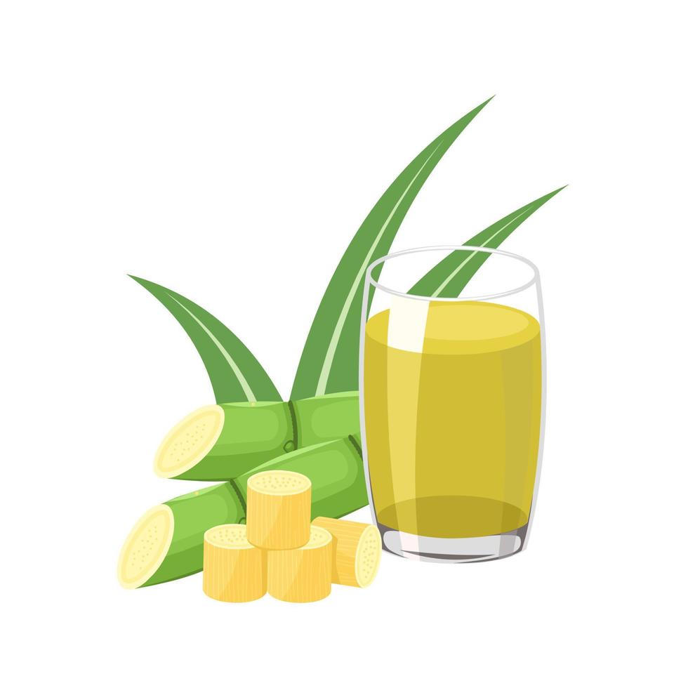 Vector illustration of sugarcane juice, with sugar cane stalks and leaves, isolated on a white background.