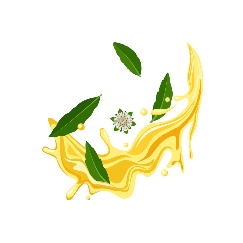 Vector illustration, oil splash with leaves and flowers of Eclipta Alba, Eclipta Prostrata or Bhringraj, also known as Fake Daisy, isolated on a white background.