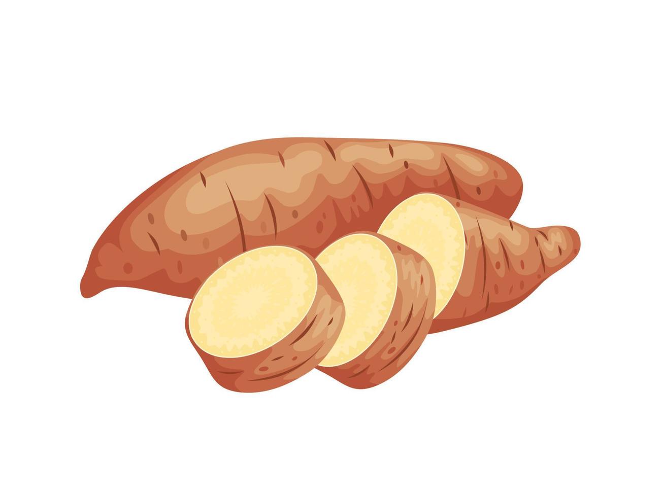 Vector illustration, sweet potato with brown skin, isolated on white, suitable for posters, websites, brochures and agricultural products packaging.