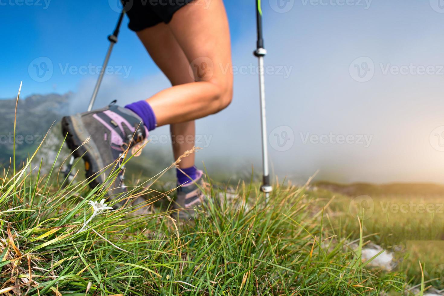 una flor de edelweiss con el paso de una mujer que practicaba la marcha nórdica en las montañas foto