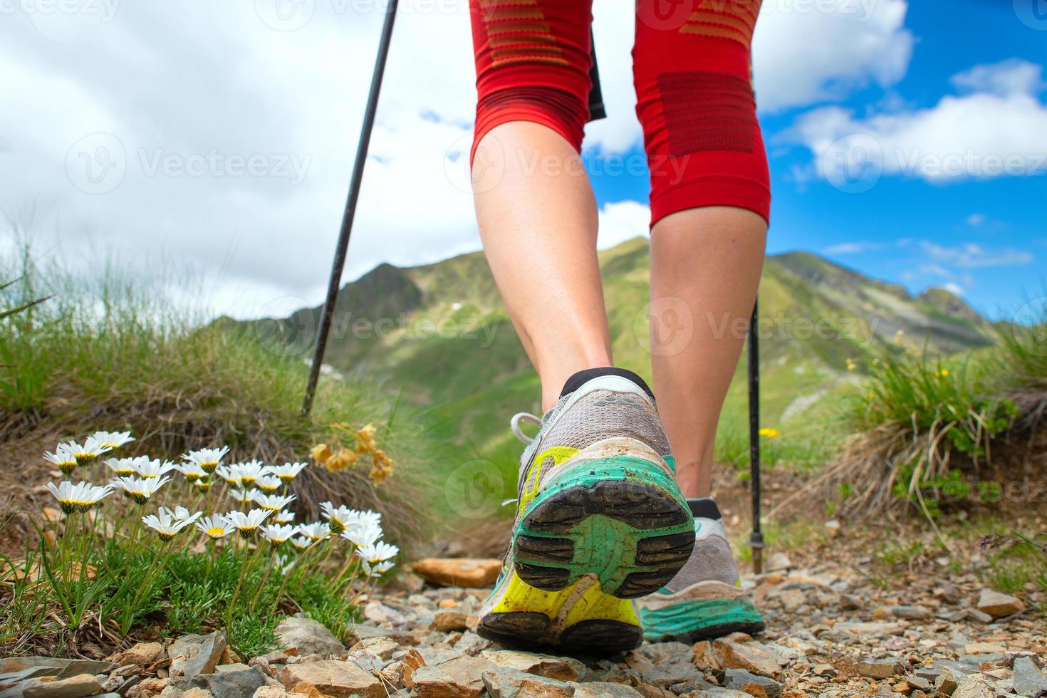 Feet of a woman who hikes in the mountains with nordic walking sticks photo