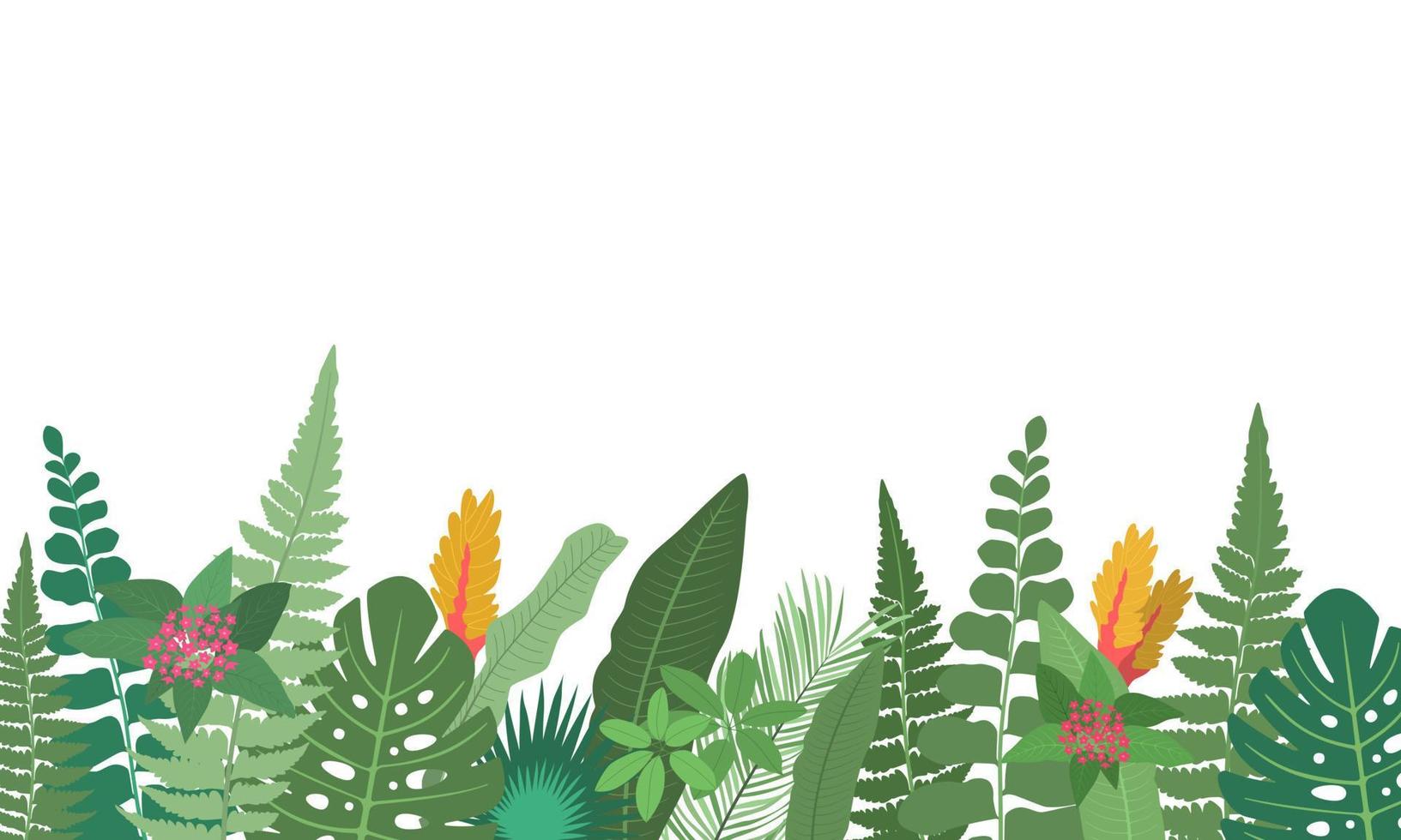 marco de borde floral horizontal con hojas tropicales verdes y flores de plantas tropicales sobre fondo blanco. bordes de follaje tropical. ilustración plana vectorial. vector