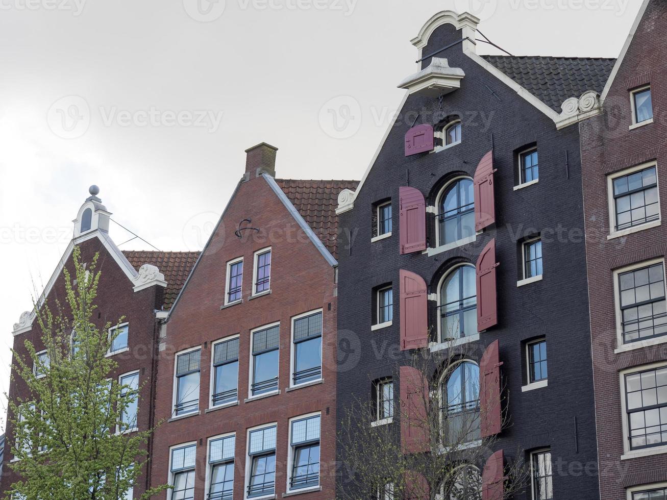 the dutch city Amsterdam photo