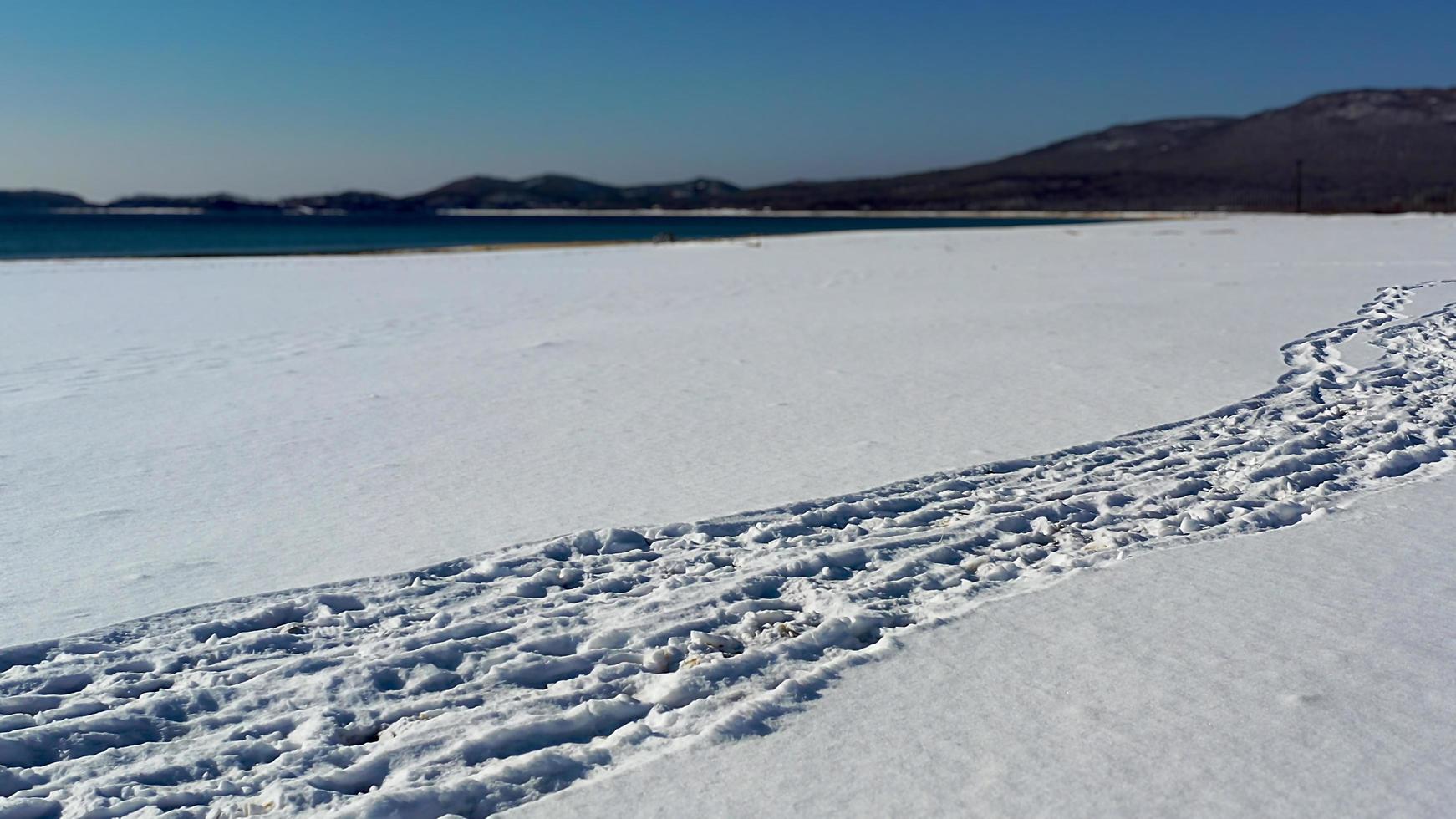 Seascape with a beach in snow and bright sun. photo