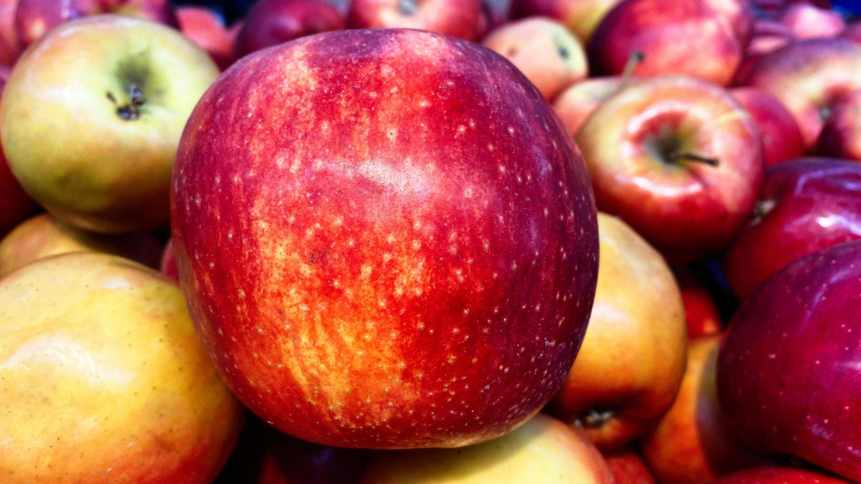 manzanas rojas maduras frescas como fondo foto