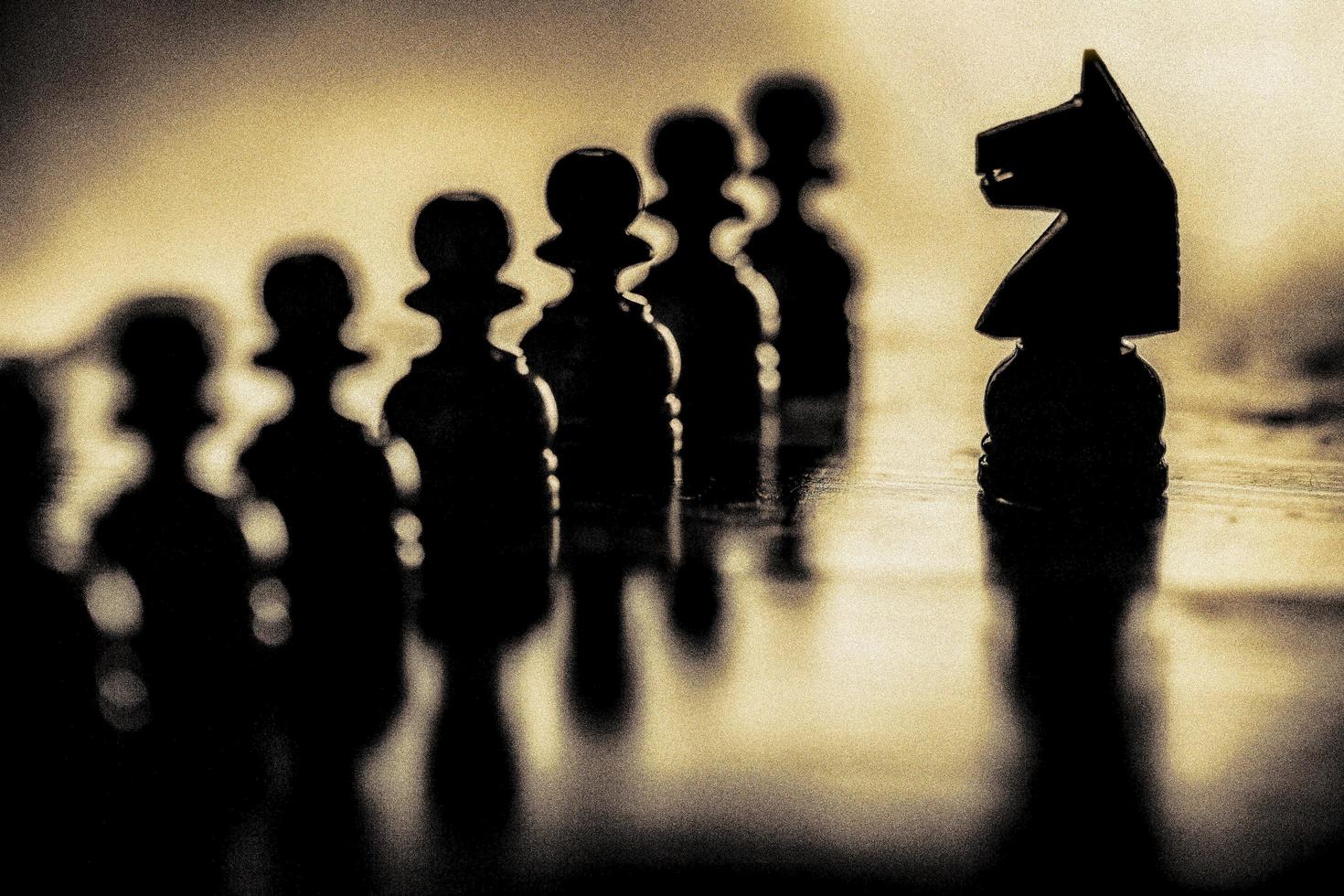 Black Knight and Pawns photo