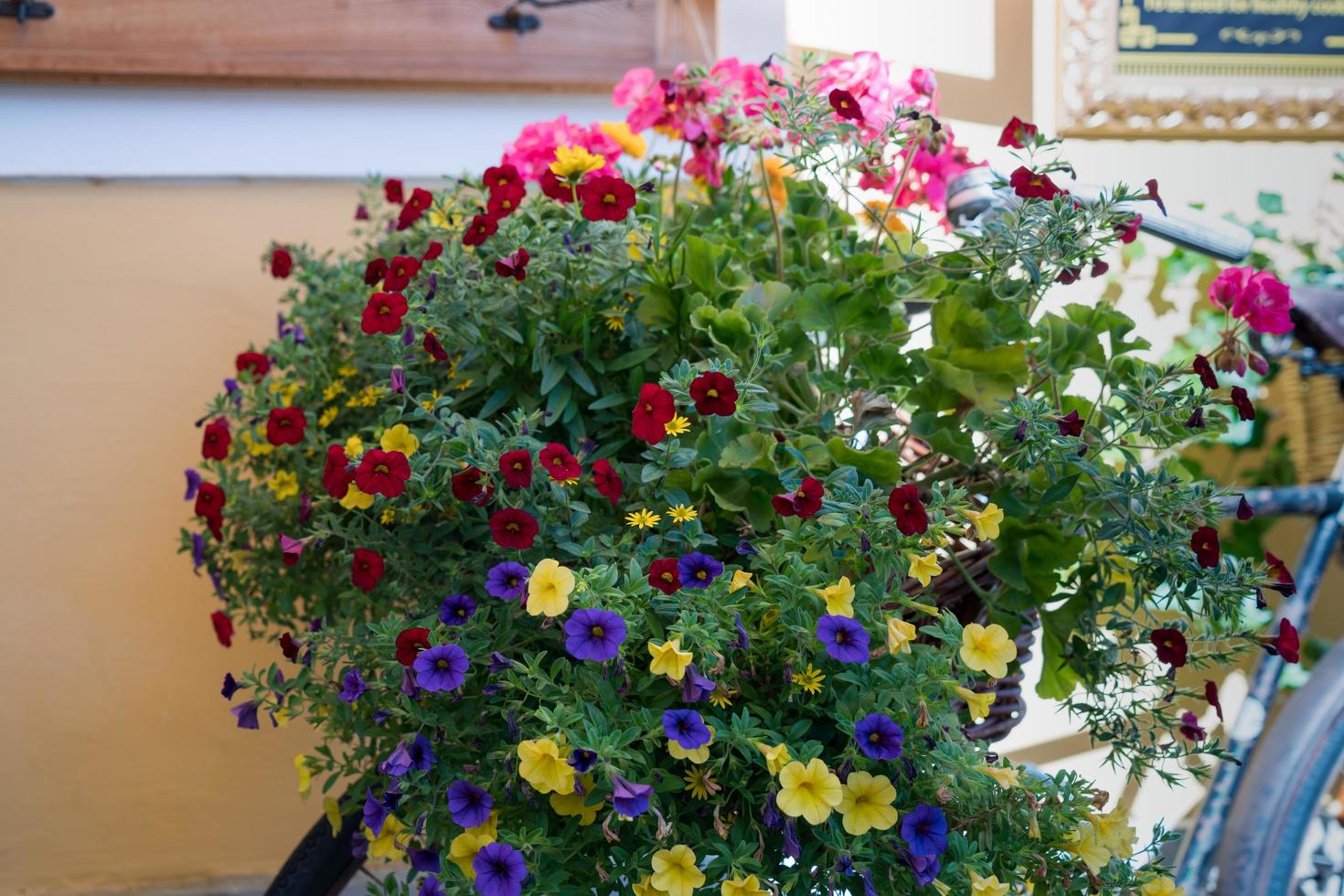 Colourful Flower Display on a Bicycle in Hallstatt photo