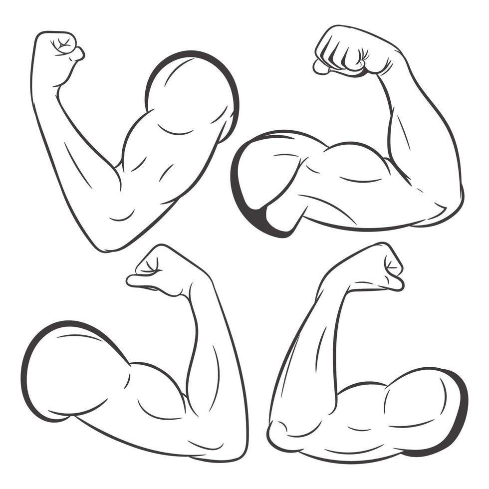 Muscle vector illustration