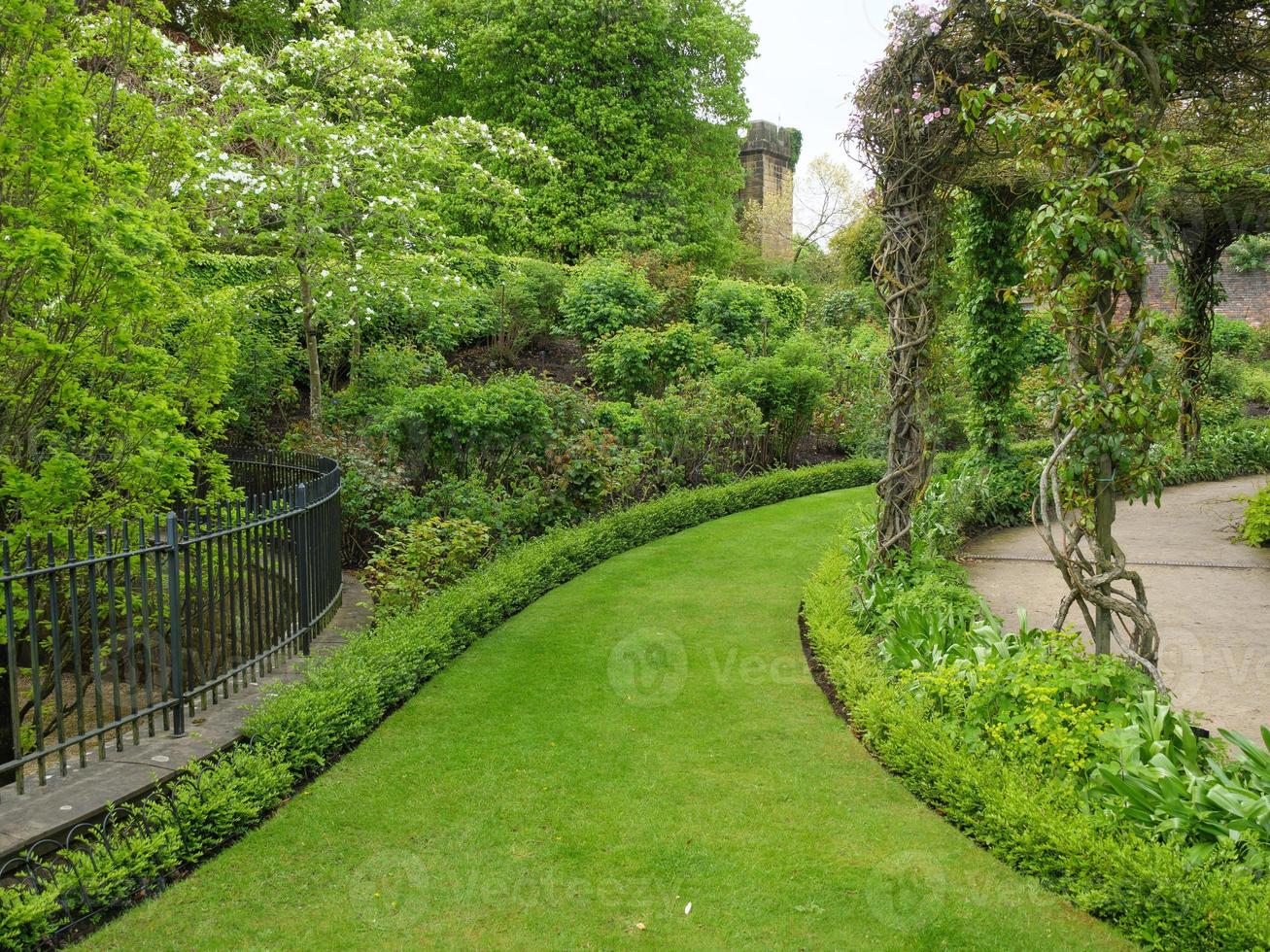 Garden and coastline near newcastle in england photo